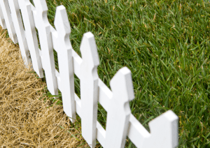 grass-greener-fence-iStock_000011126842Small-resized-600.jpg